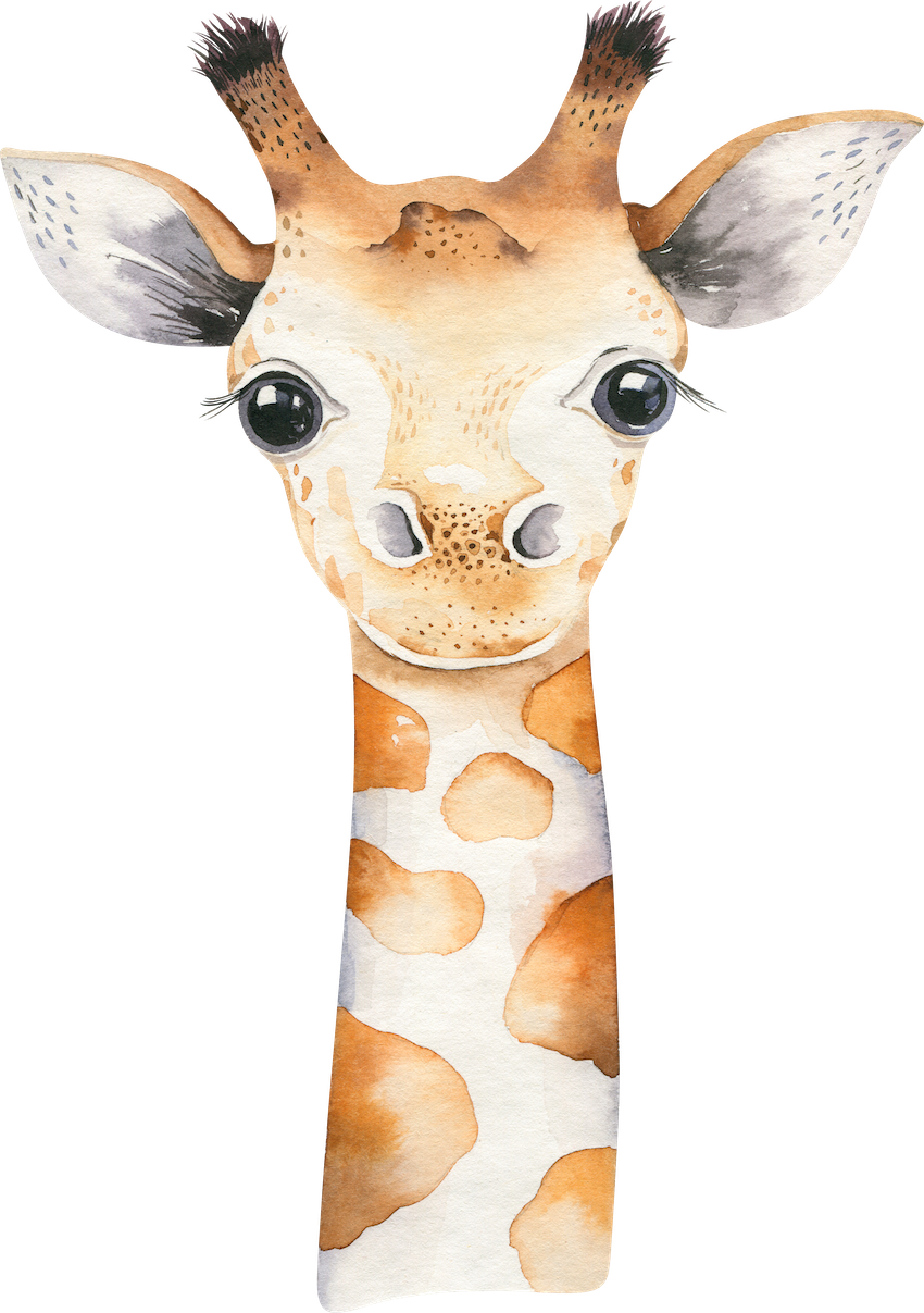 Cute Giraffe Decal